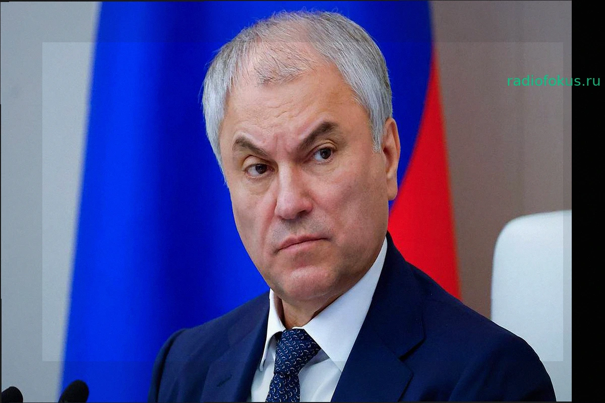 Володин направил в комитет ГД законопроект о госпошлине для иностранцев