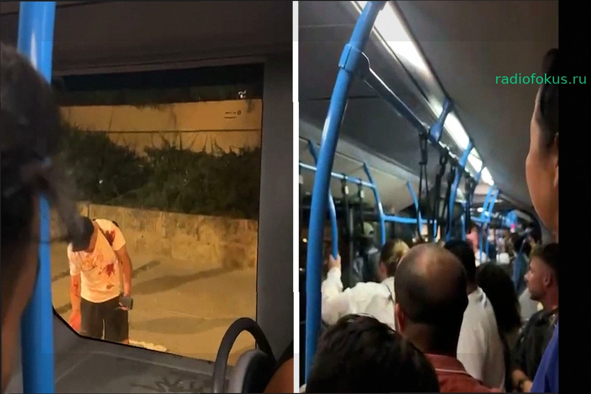 Кровавая драка в автобусе EMT Пальмы: мужчина получил ножевое ранение напротив Palma Aquarium