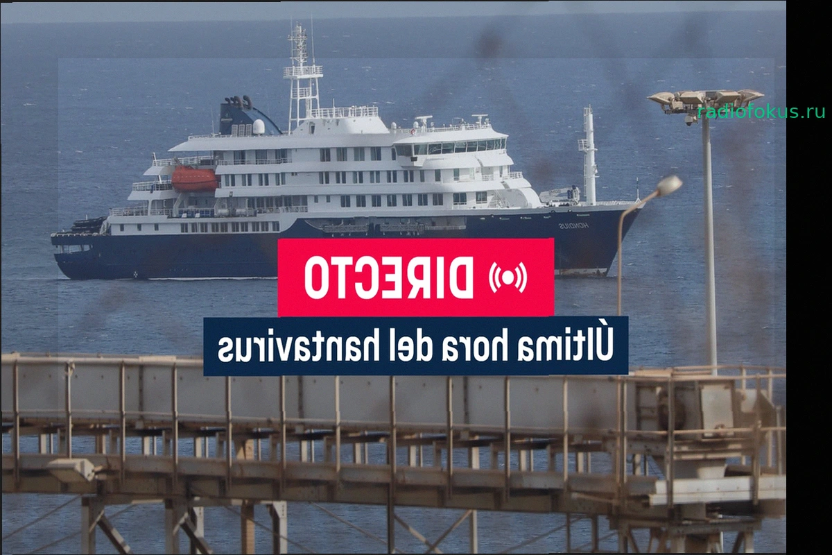 Кризис на MV Hondius: Хантавирусный штамм Andes и меры безопасности на Канарских островах