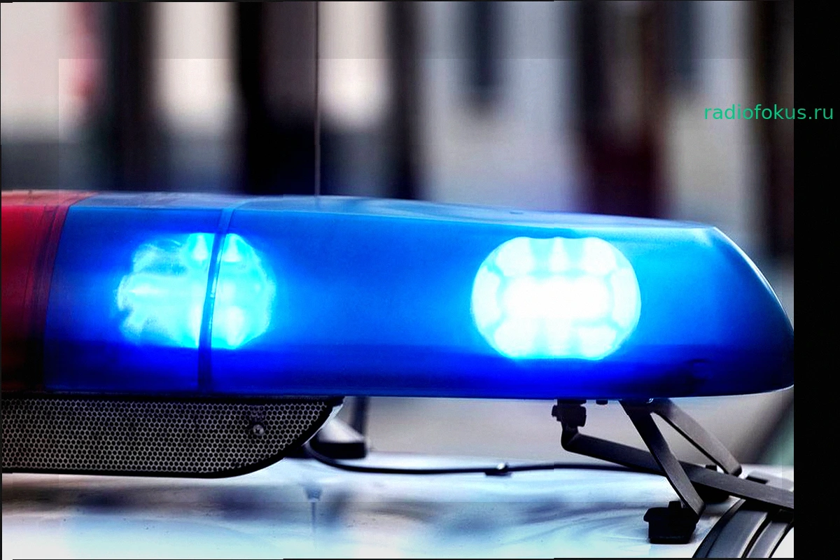Пермячку оштрафовали на 50 000 рублей за агрессию и нападение на полицию в аэропорту Большое Савино